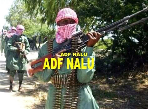 Ituri:La communauté Nyali alerte le Gouverneur Militaire sur une probable Coalition entre Adf et Codeco et une présence des Adf dans Djugu