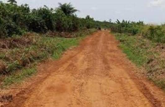Mahagi : la jeunesse de Djupawalu et Pamitu se mobilise pour désenclaver les aires de santé de Djalusene et Djuru à Djukoth