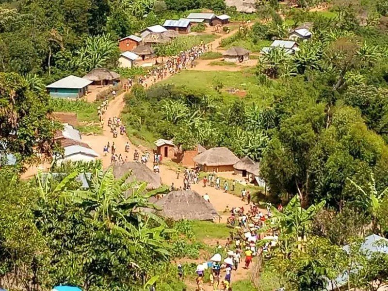 Mahagi : 195 pâturages collectifs sur 268 seraient spoliés, les éleveurs saisissent le gouverneur de l’Ituri et réclament une enquête urgente