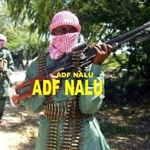 Ituri:La communauté Nyali alerte le Gouverneur Militaire sur une probable Coalition entre Adf et Codeco et une présence des Adf dans Djugu