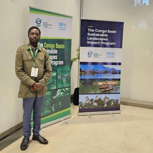 La Voix Engagée de l’Honorable AGENONG’A ROBERT Ressonne à la 20ème Réunion du Partenariat pour les Forêts du Bassin du Congo