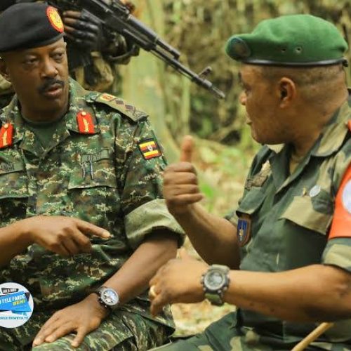 Ituri:Les Terroristes Adf dans le rang des Terroristes de la Codeco ou en Territoire de Djugu:Un Notable plaide pour le déploiement des forces de la mutualisation FARDC-UPDF