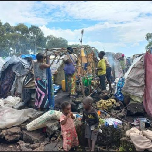 Ituri/Irumu : la société civile alerte sur la situation humanitaire catastrophique des déplacés à Kasenyi