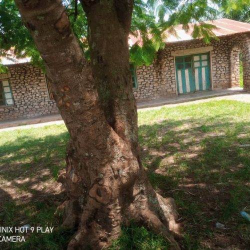 Ituri/Mahagi : Dysfonctionnement administratif à la chefferie des Mokambo, le bureau scellé par des inconnus