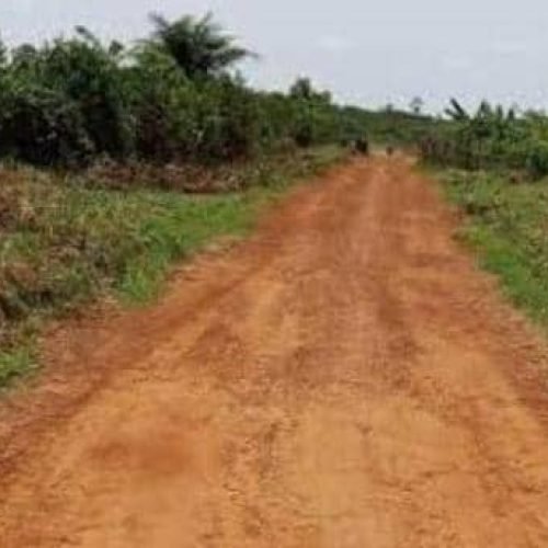 Mahagi : la jeunesse de Djupawalu et Pamitu se mobilise pour désenclaver les aires de santé de Djalusene et Djuru à Djukoth