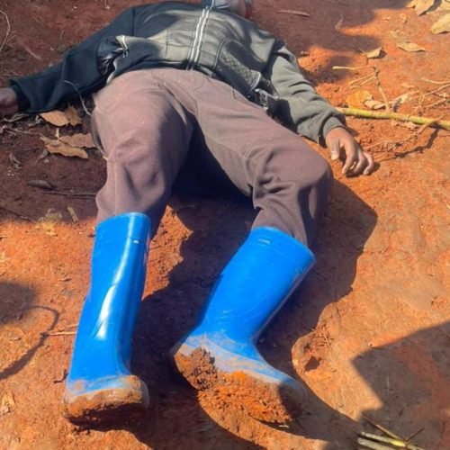 Ituri : La SOCICO/Djukoth exige justice après l&rsquo;assassinat d&rsquo;un commerçant et son vendeur sur l&rsquo;axe Logo-Ndrele