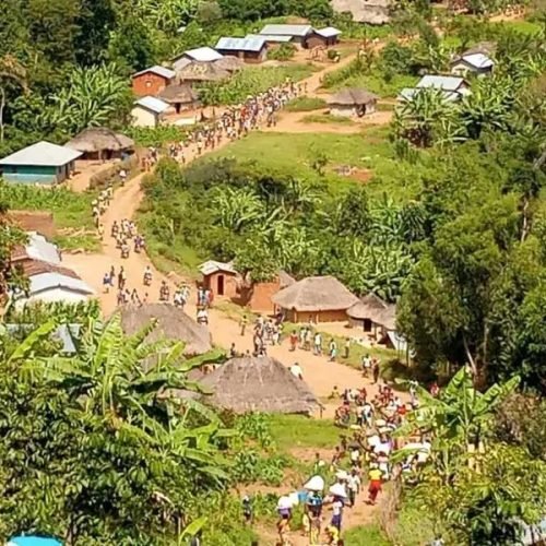 Mahagi : 195 pâturages collectifs sur 268 seraient spoliés, les éleveurs saisissent le gouverneur de l’Ituri et réclament une enquête urgente
